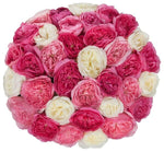 Shades of Pink Garden Roses with a White Accent Bouquet