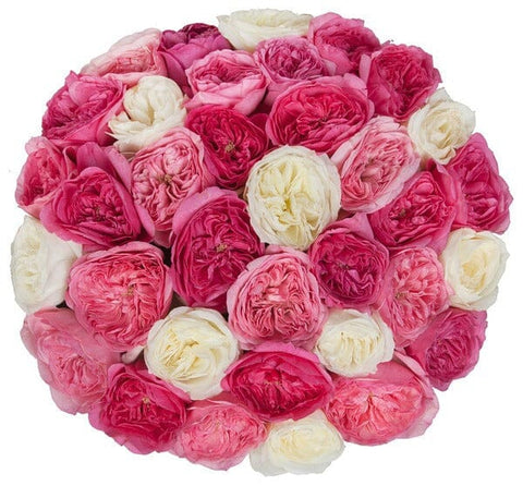 Shades of Pink Garden Roses with a White Accent Bouquet