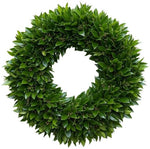 Shiny Leaves of Skimmia Wreath