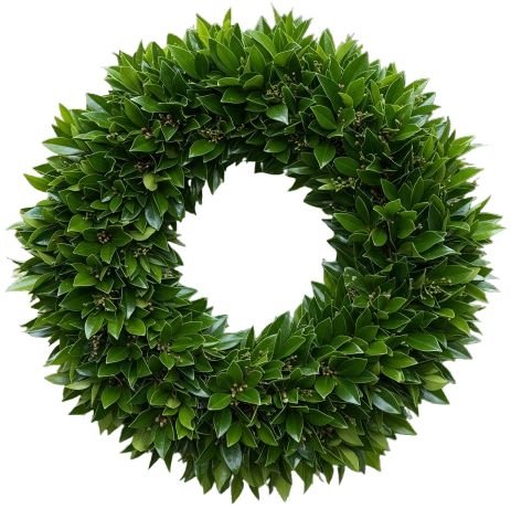 Shiny Leaves of Skimmia Wreath - Flowers Box London