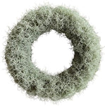 Silver Tillandsia Door Wreath
