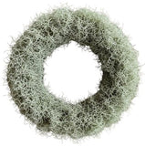 Silver Tillandsia Door Wreath