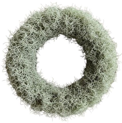 Silver Tillandsia Door Wreath
