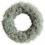 Silver Tillandsia Door Wreath