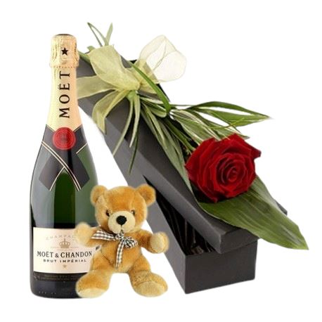 Single Rose in Luxury Box with Champagne and Teddy - Flowers Box London