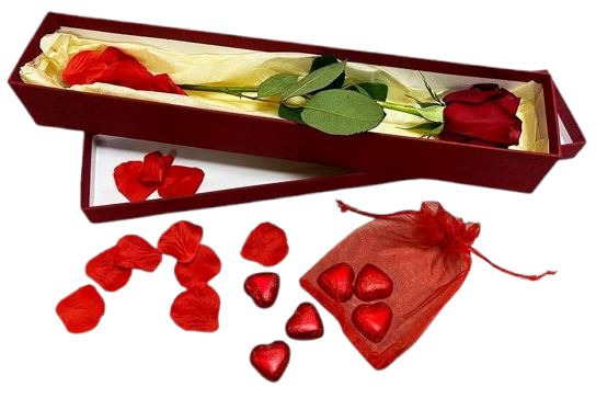 Single Rose Luxury Box with Chocolate Hearts & Rose Petals - Flowers ...