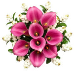 Snowberry Kissed Calla Dreams Bouquet
