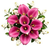 Snowberry Kissed Calla Dreams Bouquet