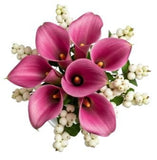 Snowberry Kissed Calla Dreams Bouquet - Flowers Box London