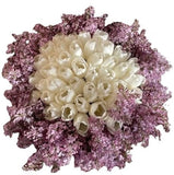 Snug Bouquet of Tulips and Lilac - Flowers Box London