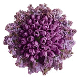 Snug Bouquet of Tulips and Lilac - Flowers Box London