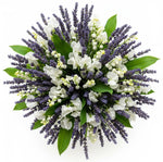 Soft Petal Fragrant Symphony Bouquet - Flowers Box London
