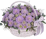 Soft Scabiosa Basket Arrangement - Flowers Box London
