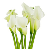 special order : bridal bouquet 15 calla lily + 10 white astilbe - Flowers Box London