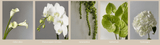 SPECIAL ORDER - WEDDING - DELIVERY DATE (07.08.2026) - Flowers Box London