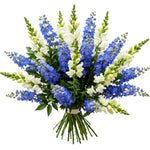 Splendid Bouquet of Blue Delphinium and Snapdragons