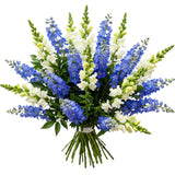 Splendid Bouquet of Blue Delphinium and Snapdragons