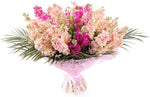 Splendit Bouquet of Peach and Pink Stock - Flowers Box London