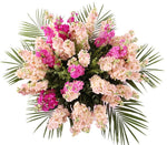 Splendit Bouquet of Peach and Pink Stock - Flowers Box London