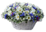 Spring in the Air Flowers Basket