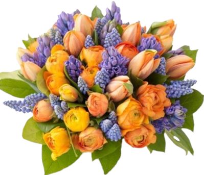 Spring Orange and Blue Bouquet