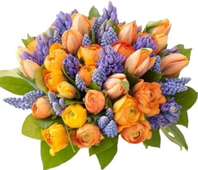 Spring Orange and Blue Bouquet - Flowers Box London