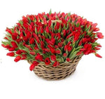 Spring Tulips Basket