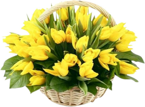 Spring Tulips Basket - Flowers Box London