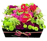Stunning Flowers Box