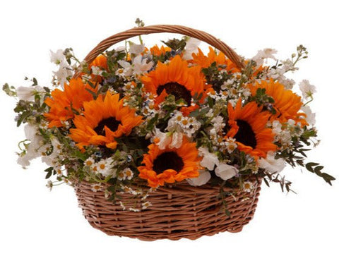 Sunflowers and Sweet Peas with Daisy Tanacetum Basket - Flowers Box London