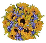 Sunflowers with Agapanthus Bouquet - Flowers Box London