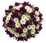 Sweet Pea and Daisy Bouquet - Flowers Box London