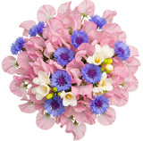 Sweet Pea and Freesias Bouqet with Blue Cornflowers