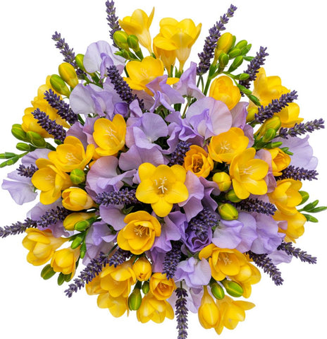Sweet Pea and Freesias Bouquet with Lavender