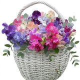Sweet Pea Basket - Flowers Box London