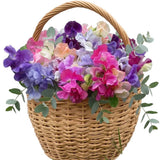 Sweet Pea Basket - Flowers Box London