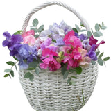 Sweet Pea Basket - Flowers Box London