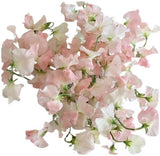 Sweet Pea Flower Bouquet - Flowers Box London