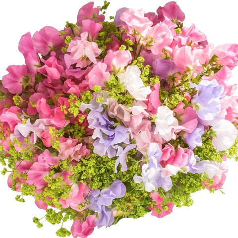 Sweet Pea with Greenery Bouquet