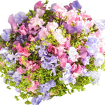 Sweet Pea with Greenery Bouquet