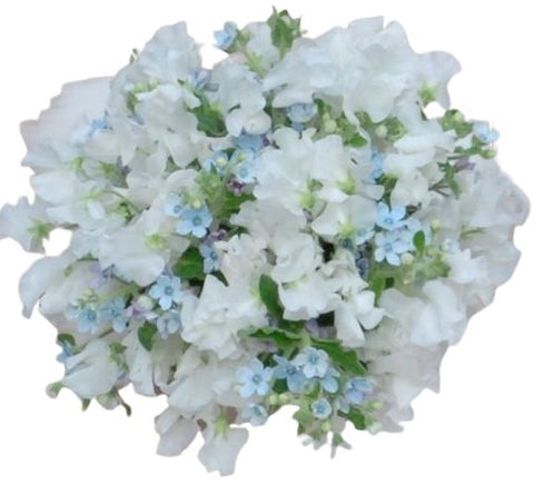 Sweet Pea with Oxypetalum Bouquet