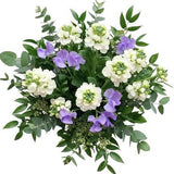 Sweet Pea with White Stocks Scented Bouquet - Flowers Box London
