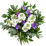 Sweet Pea with White Stocks Scented Bouquet - Flowers Box London
