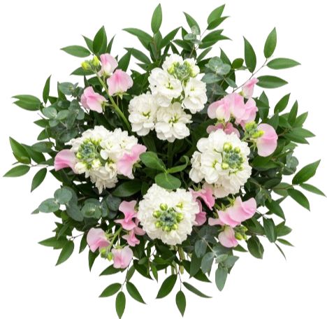 Sweet Pea with White Stocks Scented Bouquet