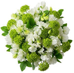 Sweet Peas in Blooming Green Bouquet