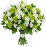 Sweet Peas in Blooming Green Bouquet