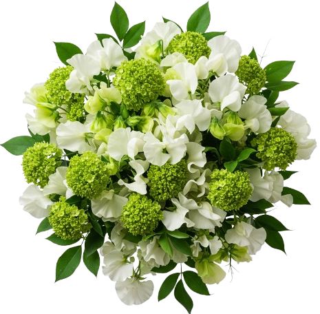 Sweet Peas in Blooming Green Bouquet