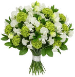 Sweet Peas in Blooming Green Bouquet - Flowers Box London