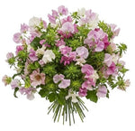 Sweet Peas with Pink Alstroemeria Bouquet - Flowers Box London