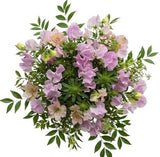 Sweet Peas with Pink Alstroemeria Bouquet - Flowers Box London